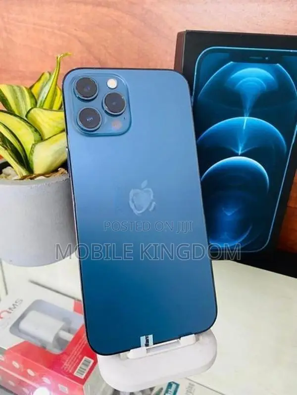 Apple iPhone 12 Pro Max 256GB Fullset Box (Used)