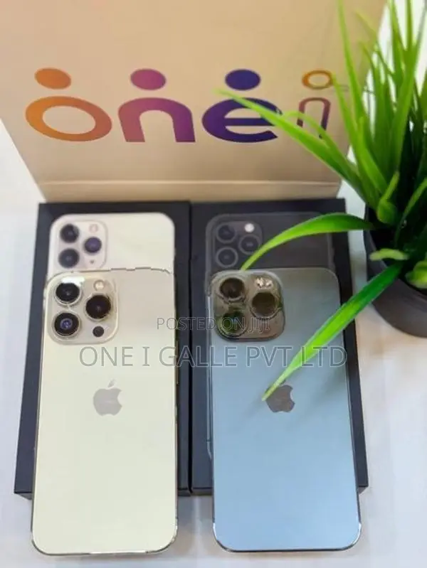 Apple iPhone 13 Pro 256GB (Used)