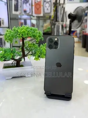 Apple iPhone 12 Pro (Used)