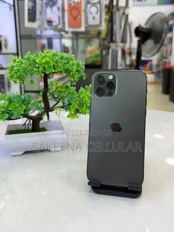 Apple iPhone 12 Pro (Used)