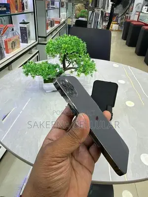 Apple iPhone 12 Pro (Used)