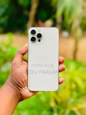 Apple iPhone 12 Pro Max (Used)