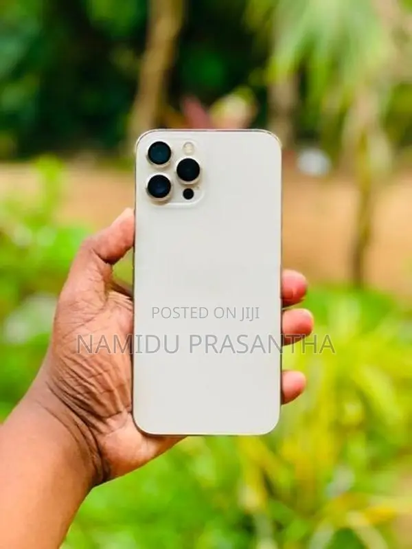 Apple iPhone 12 Pro Max (Used)