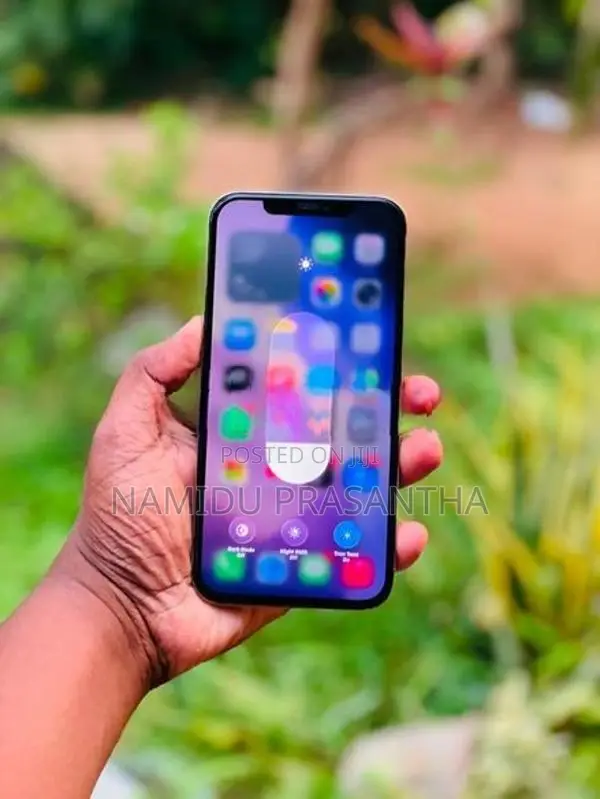 Apple iPhone 12 Pro Max (Used)