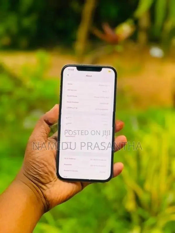 Apple iPhone 12 Pro Max (Used)