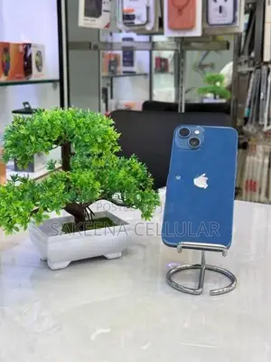Apple iPhone 13 (Used)