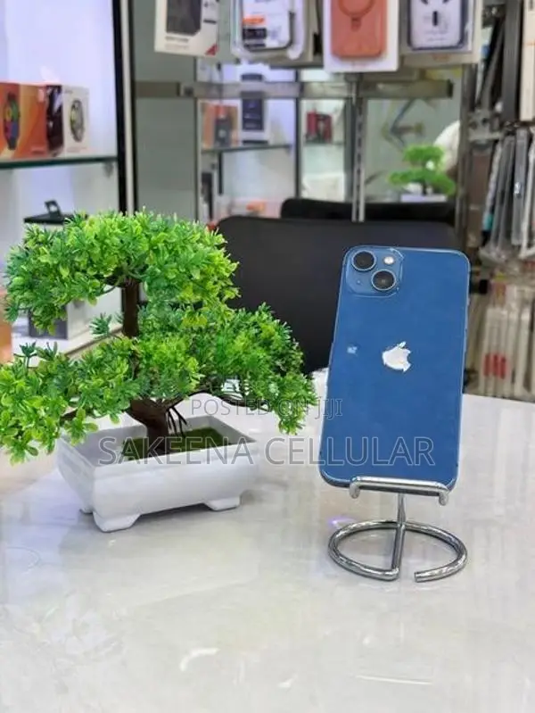 Apple iPhone 13 (Used)