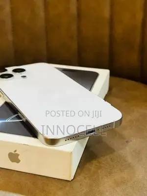 Apple iPhone 16 Pro Max 256GB (Used)