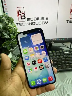 Apple iPhone 12 Pro 256GB (Used)