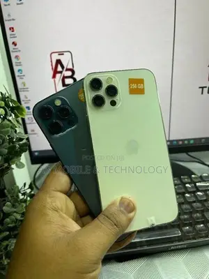 Apple iPhone 12 Pro 256GB (Used)