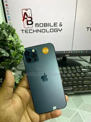 Apple iPhone 12 Pro 256GB (Used)