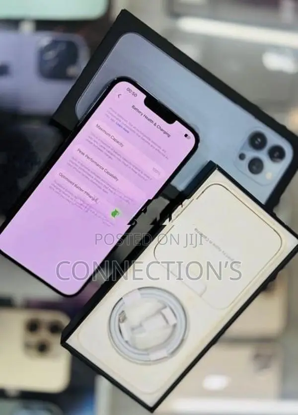 Apple iPhone 13 Pro Max (Used)