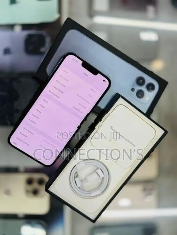 Apple iPhone 13 Pro Max (Used)