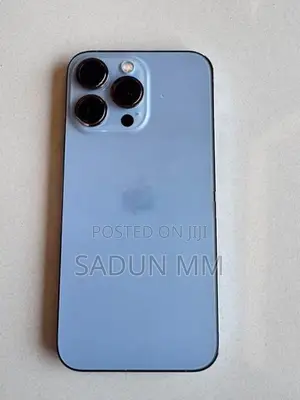 Apple iPhone 13 Pro 256GB (Used)