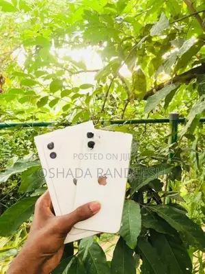 Apple iPhone 11 (Used)