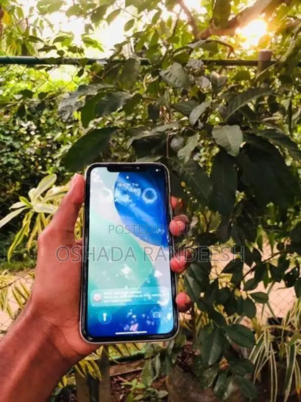 Apple iPhone 11 (Used)