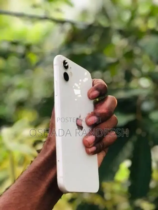 Apple iPhone 11 (Used)