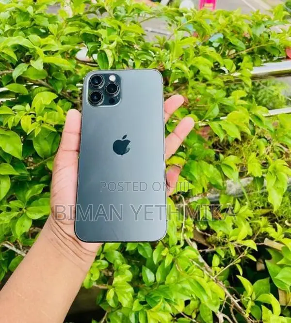 Apple iPhone 12 Pro Max 256GB (Used)