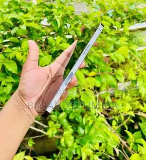 Apple iPhone 12 Pro Max 256GB (Used)