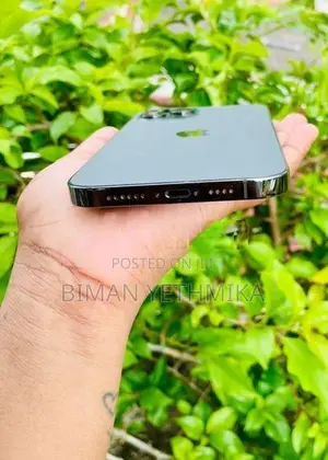 Apple iPhone 12 Pro Max 256GB (Used)