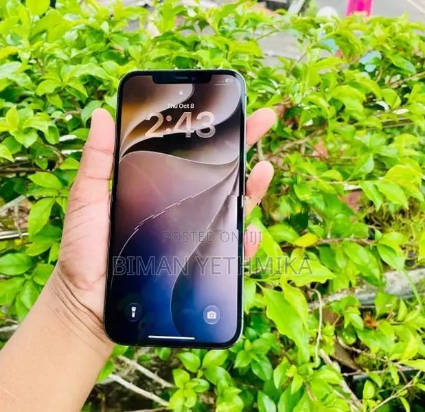 Apple iPhone 12 Pro Max 256GB (Used)