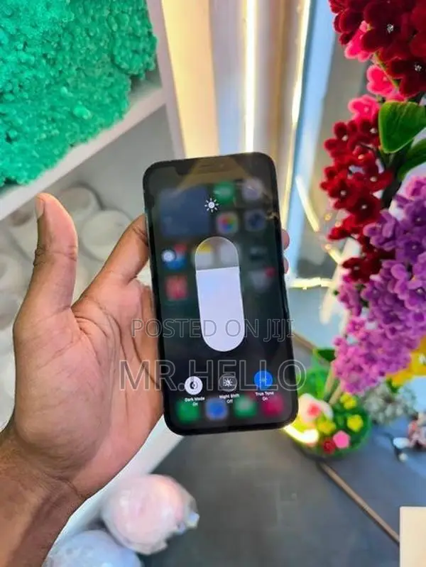Apple iPhone 12 Pro 256GB (Used)