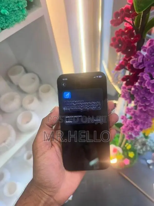 Apple iPhone 12 Pro 256GB (Used)