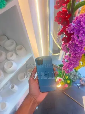 Apple iPhone 12 Pro 256GB (Used)