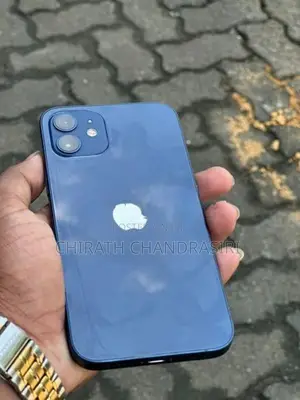 Apple iPhone 12 (Used)
