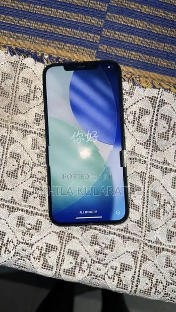 Apple iPhone 12 Pro Max (Used)
