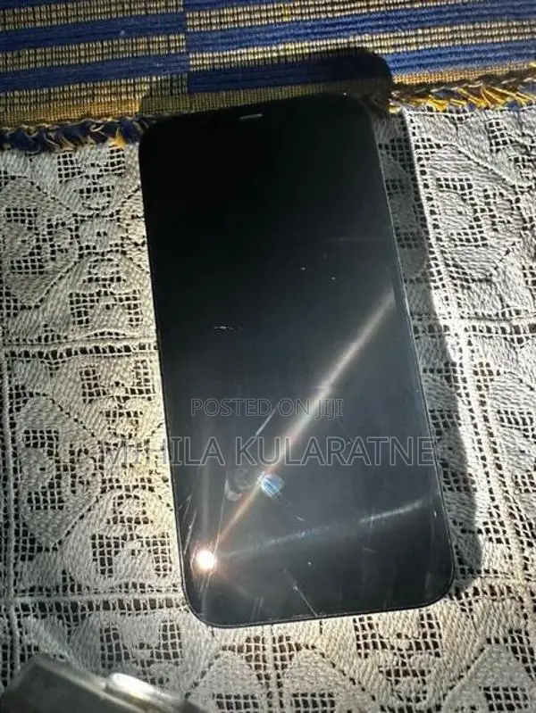 Apple iPhone 12 Pro Max (Used)