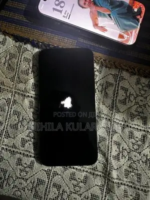 Apple iPhone 12 Pro Max (Used)