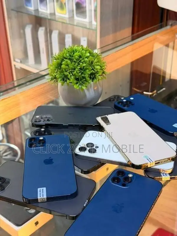 Apple iPhone 12 Pro (Used)