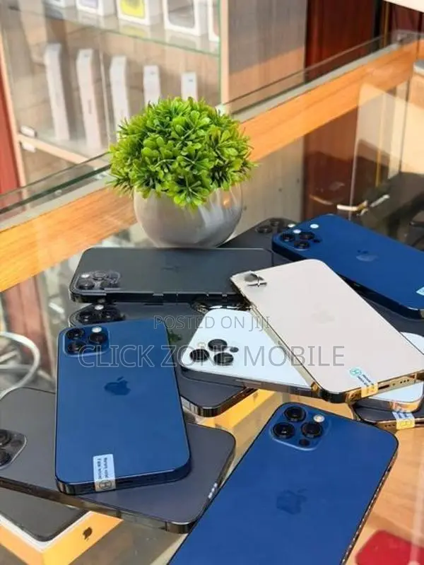 Apple iPhone 12 Pro (Used)