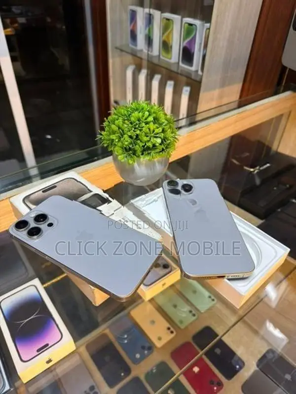 Apple iPhone 15 Pro Max 256GB (Used)