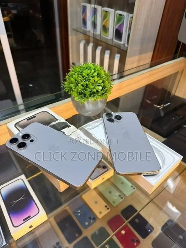 Apple iPhone 15 Pro Max 256GB (Used)