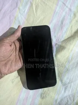Apple iPhone 13 Pro Max (Used)