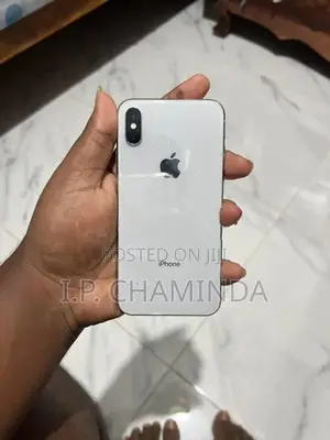 Apple iPhone X 256GB (Used)