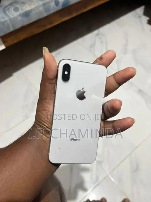 Apple iPhone X 256GB (Used)