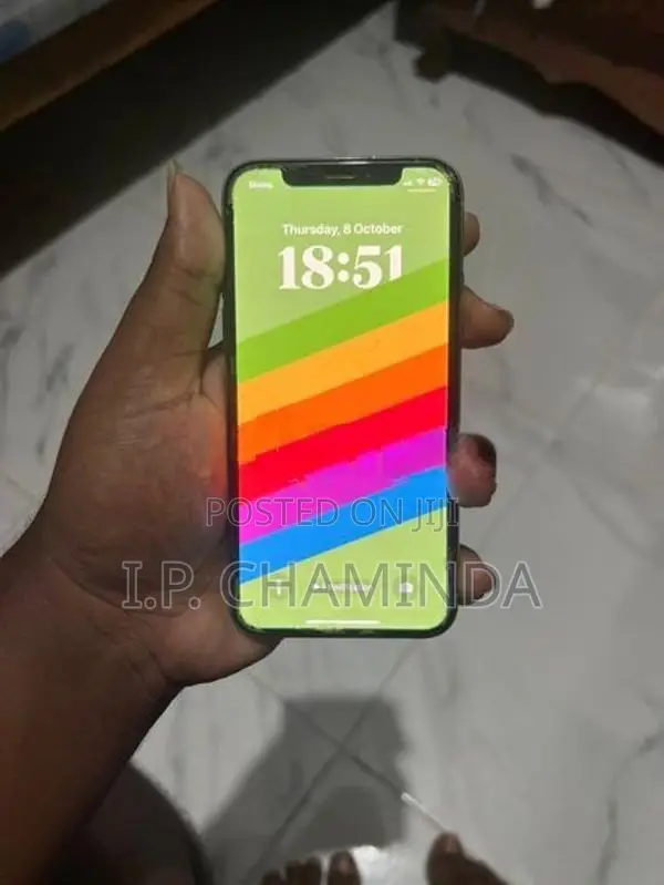 Apple iPhone X 256GB (Used)