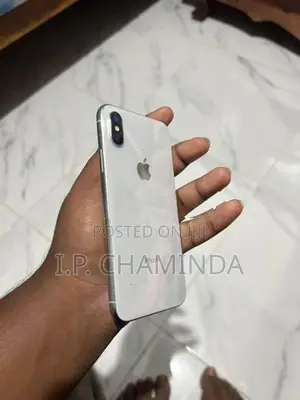 Apple iPhone X 256GB (Used)