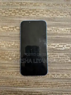Apple iPhone 13 128GB (Used)