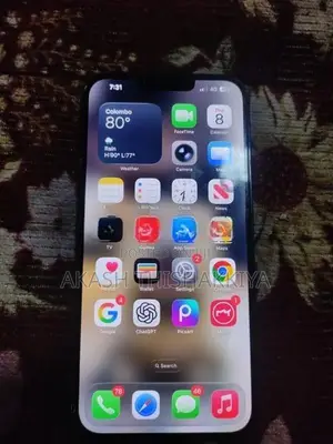 Apple iPhone 13 Pro Max (Used)