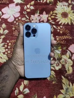 Apple iPhone 13 Pro Max (Used)