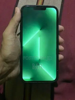 Apple iPhone 13 Pro Max 256GB (Used)