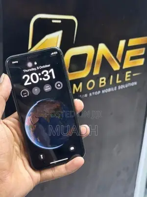 Apple iPhone X (Used)