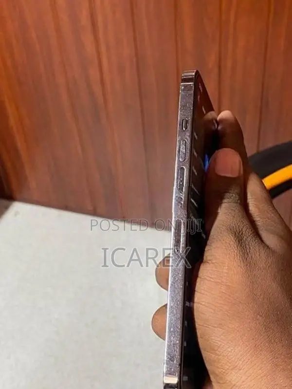 Apple iPhone 12 Pro Max 256GB (Used)