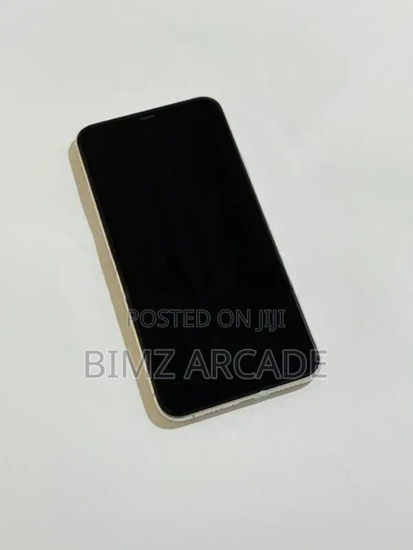 Apple iPhone 11 Pro Max 256GB (Used)