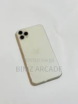 Apple iPhone 11 Pro Max 256GB (Used)