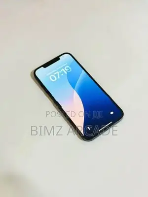 Apple iPhone 12 Pro Max 128GB (Used)